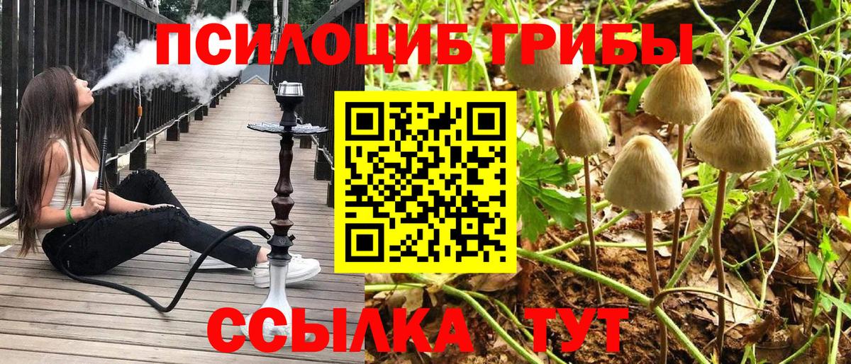 Псилоцибиновые грибы прущие грибы Нововоронеж