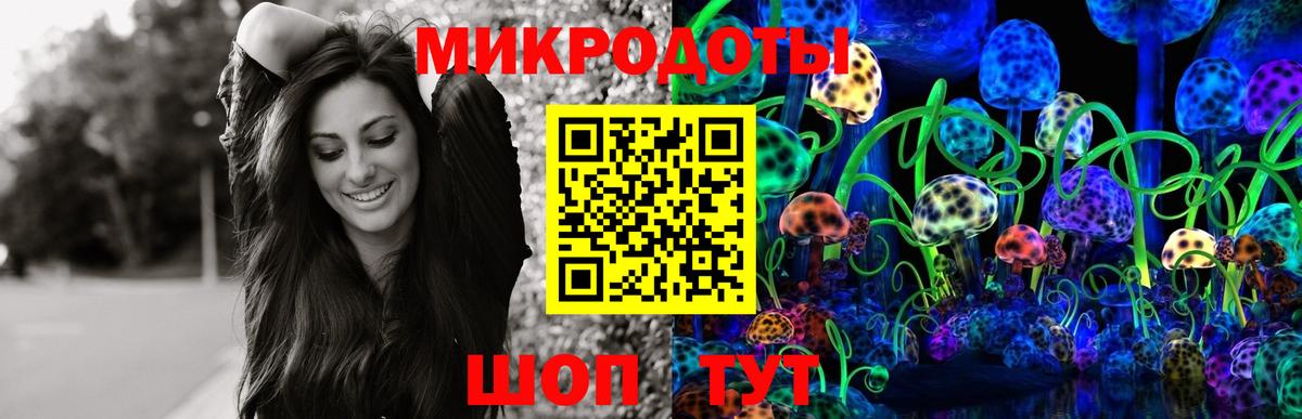 Галлюциногенные грибы GOLDEN TEACHER  Вход с VPN  Нововоронеж 